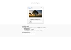 SilverSingles